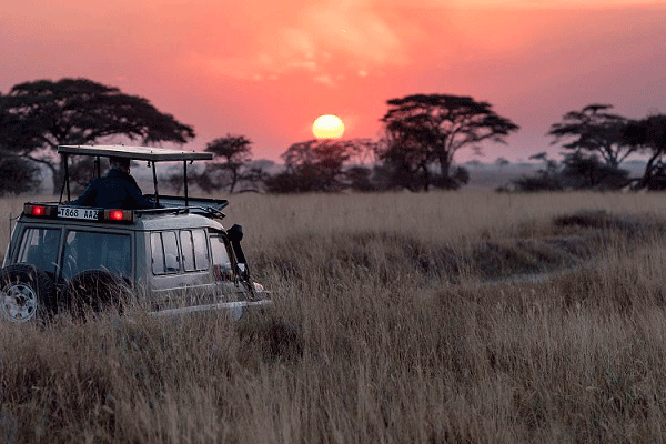 Los Elegidos de África